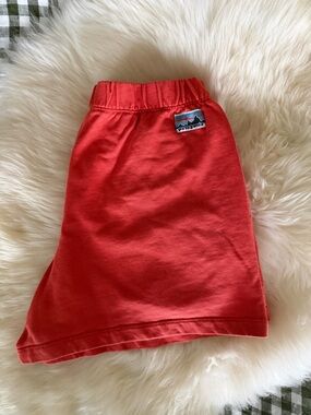 Patagonia Women’s Shorts with Logo Patch